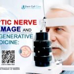 Stem Cell