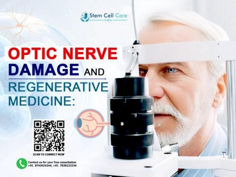 Stem Cell