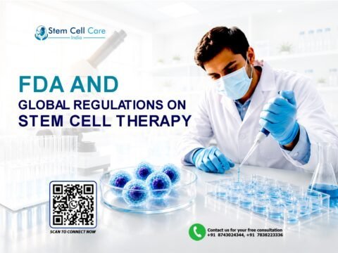 Stem Cell