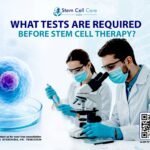 Stem cell