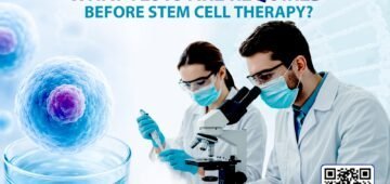 Stem cell