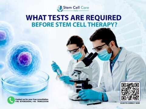 Stem cell